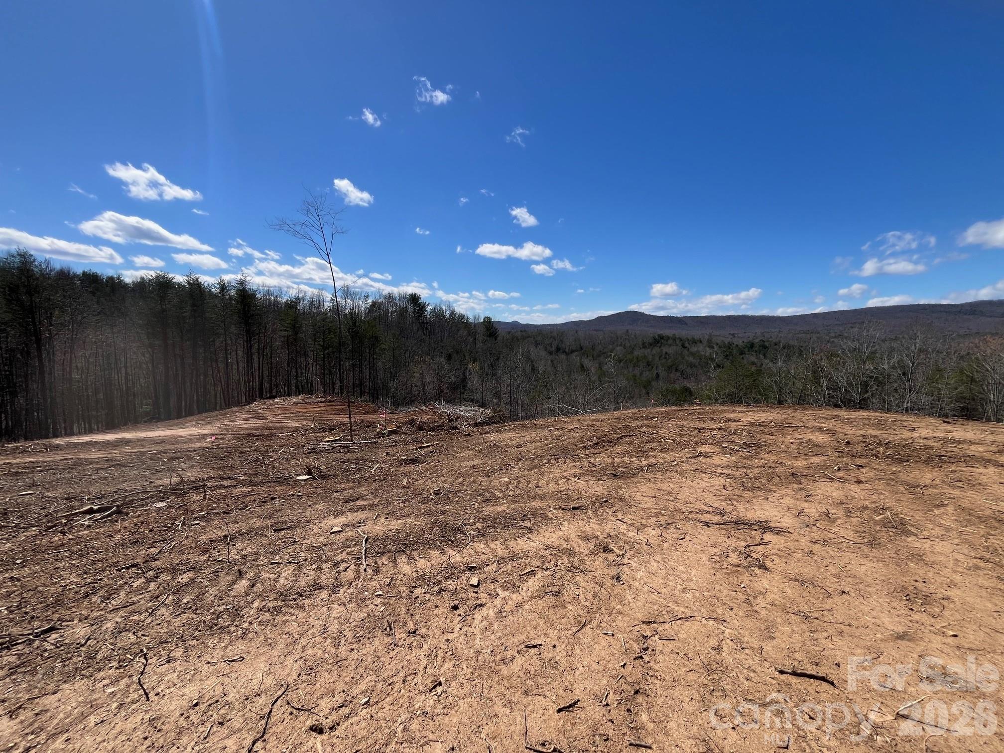 V/l Vein Mountain Road Nebo, NC 28761 - Photo 4 of 17