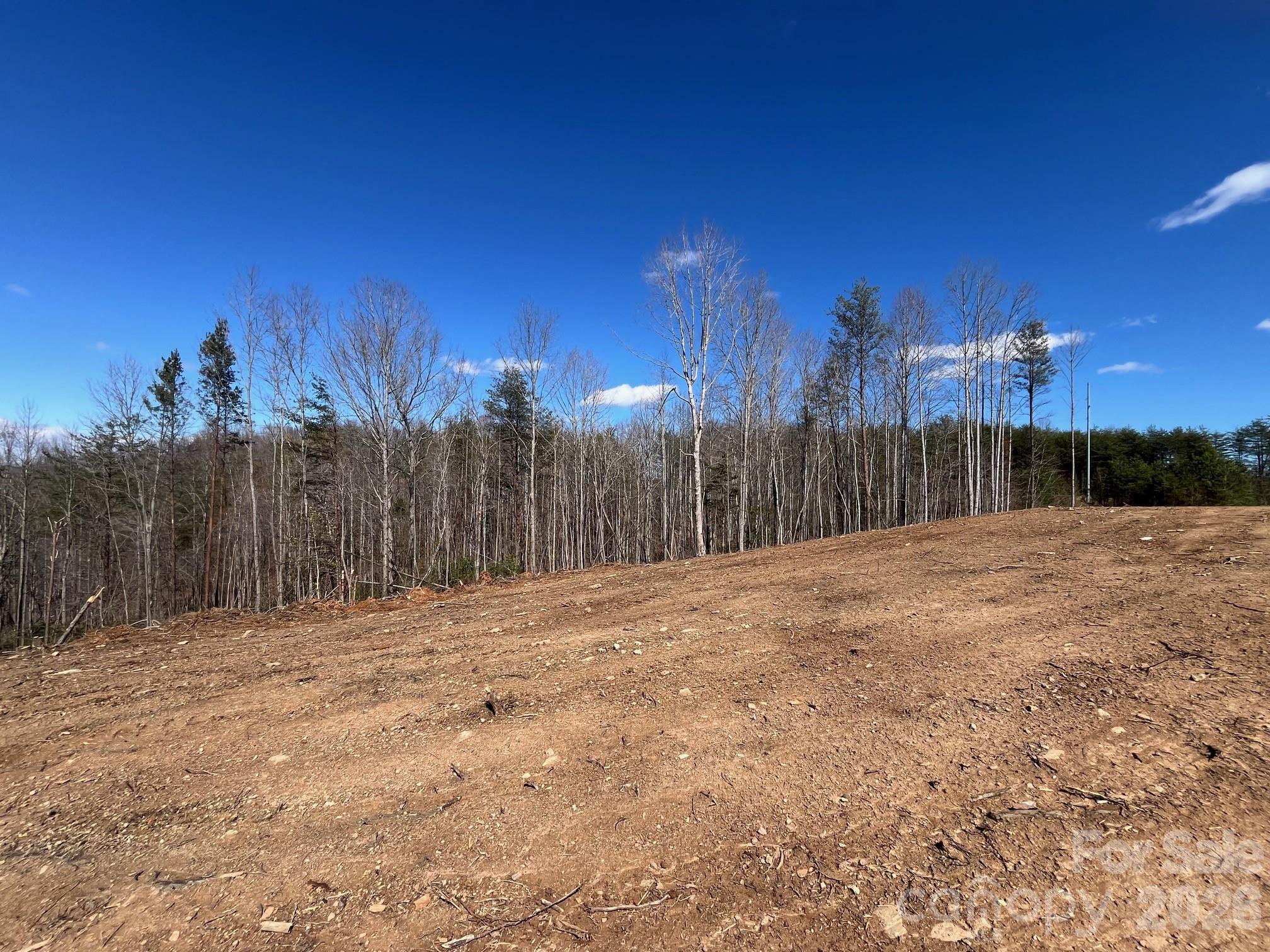 V/l Vein Mountain Road Nebo, NC 28761 - Photo 5 of 17