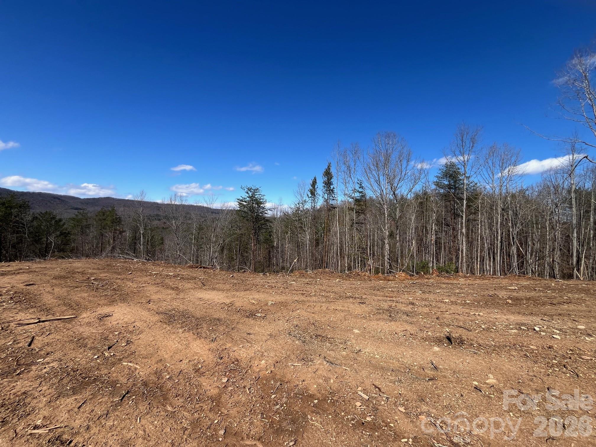 V/l Vein Mountain Road Nebo, NC 28761 - Photo 6 of 17