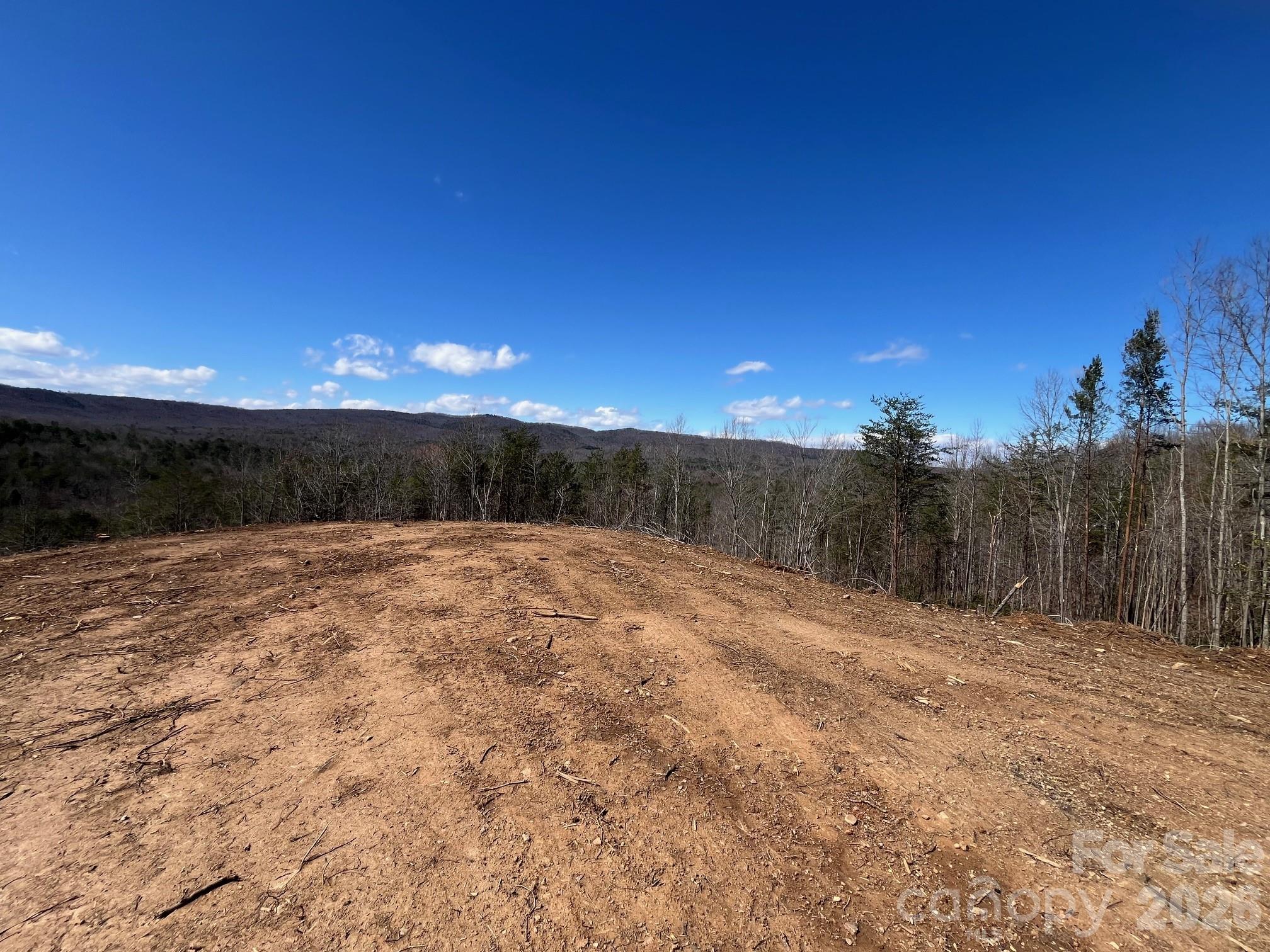 V/l Vein Mountain Road Nebo, NC 28761 - Photo 7 of 17