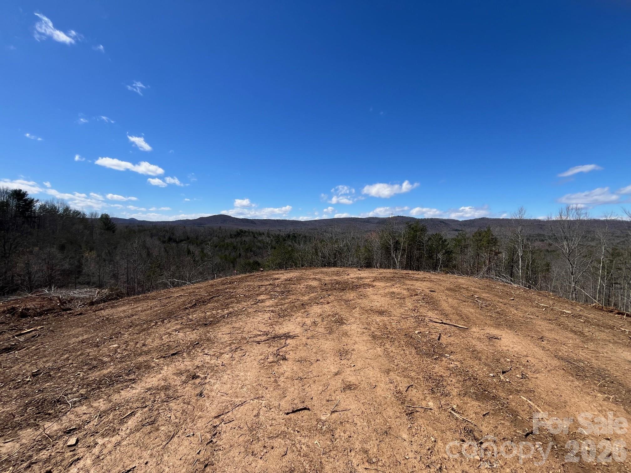 V/l Vein Mountain Road Nebo, NC 28761 - Photo 8 of 17