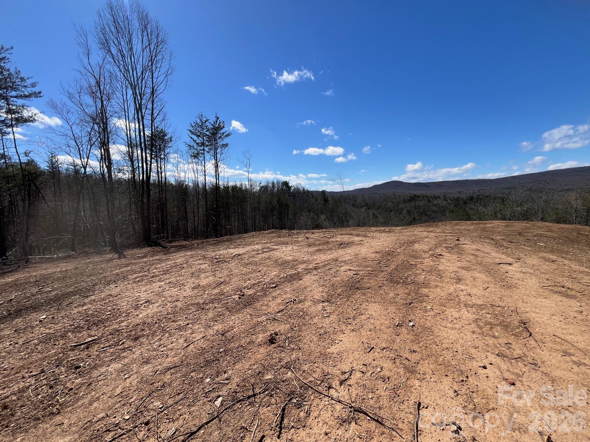 V/l Vein Mountain Road Nebo, NC 28761 - Photo 10 of 17