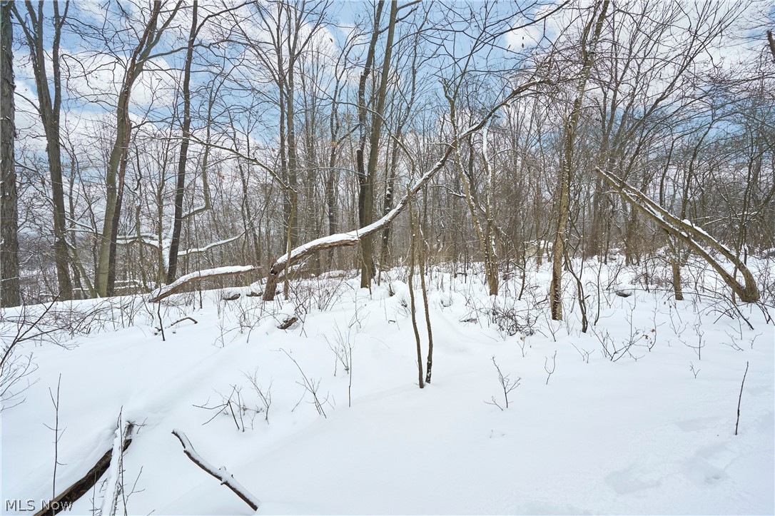 V/l Bainbridge Road Solon, OH 44139 - Photo 9 of 11