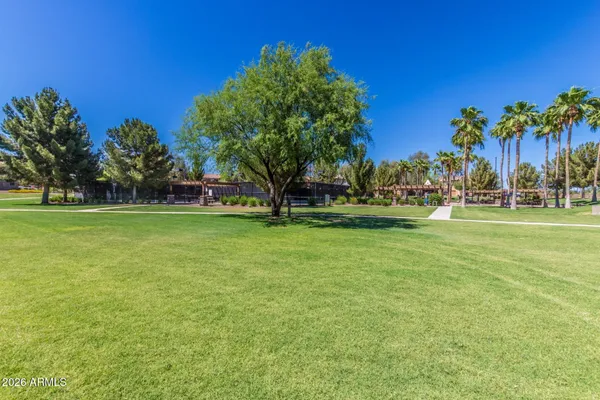 a view of a park with palm trees