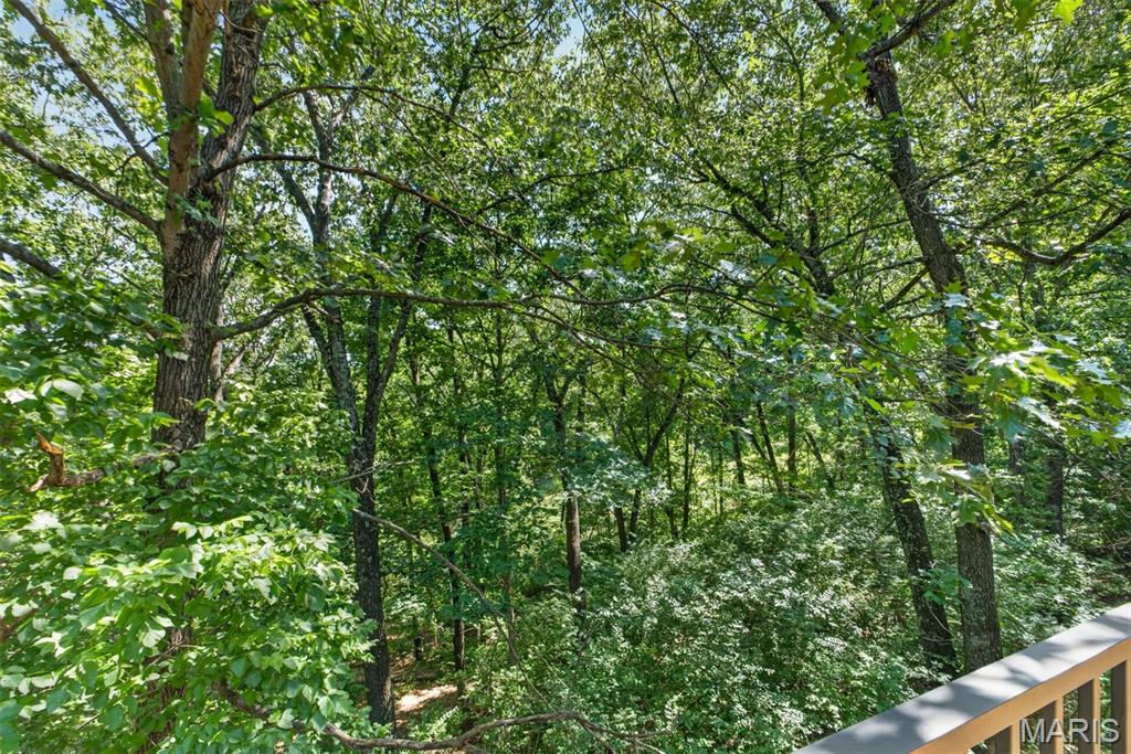 5012 Oak Bluff Drive High Ridge, MO 63049 - Photo 26 of 47