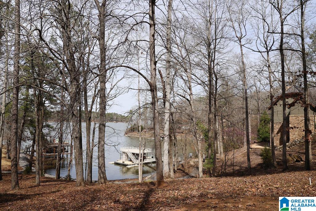 35 Waters Edge Cove Alpine, AL 35014 - Photo 3 of 95