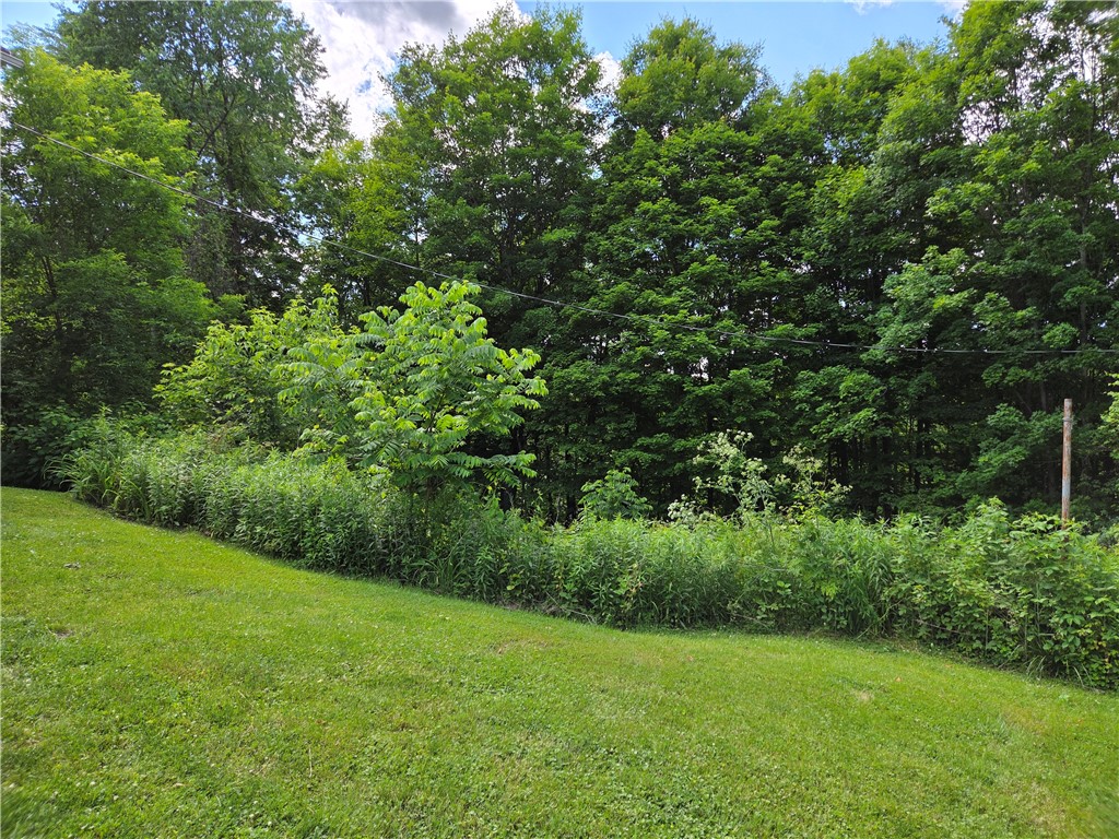 5 South Hill Road Van Etten, NY 14889 - Photo 44 of 50