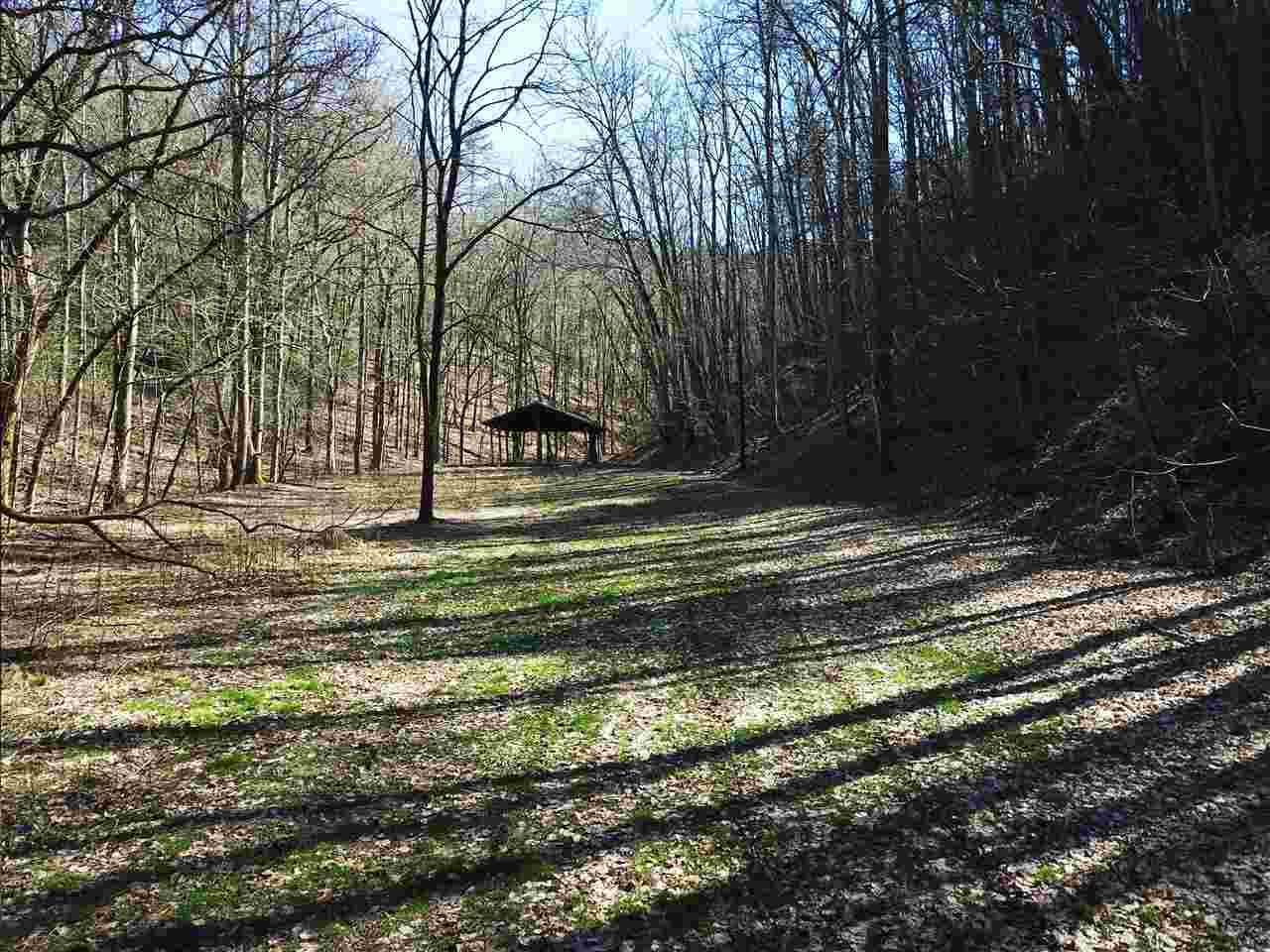 0 Towee Pike Reliance, TN 37369 - Photo 3 of 41