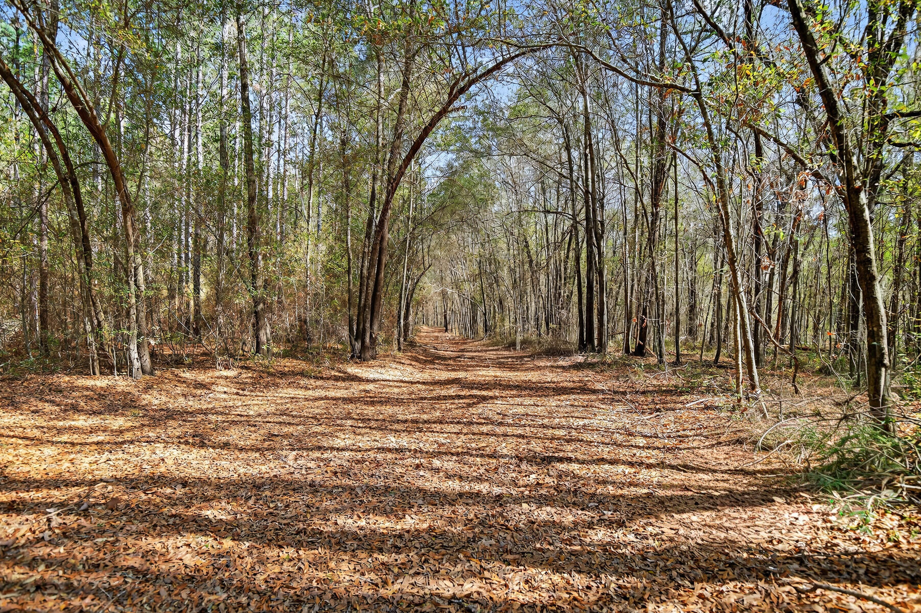 1223 Benton Road Summerton, SC 29148 - Photo 44 of 51 TB-70