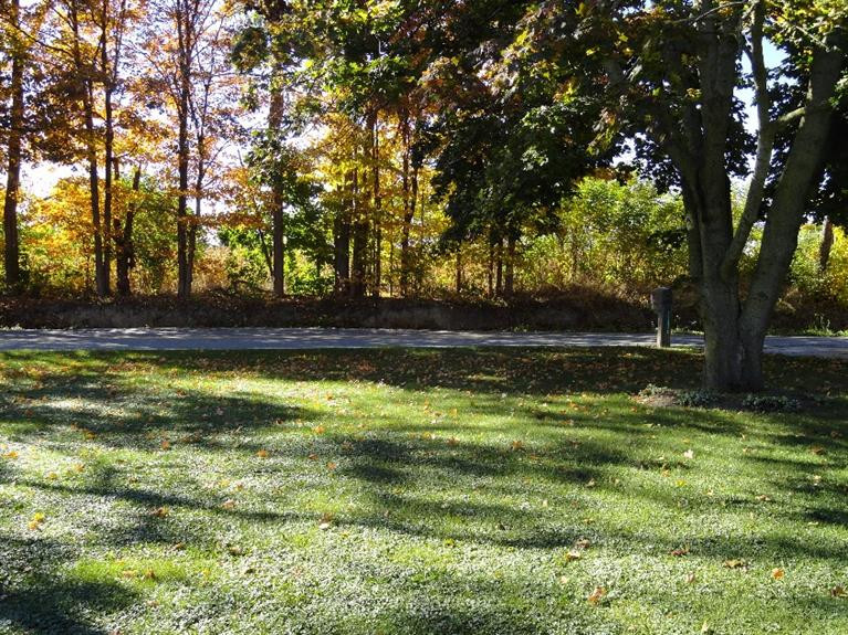 20330 Jerusalem Road Chelsea, MI 48118 - Photo 3 of 36 Photo 3