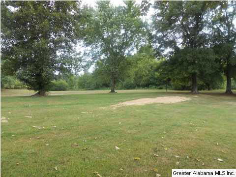 1400 Wilson Chapel Road, Unit 28 ACRES Oneonta, AL 35121 - Photo 7 of 19