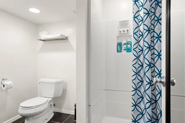 a white toilet sitting next to a shower curtain