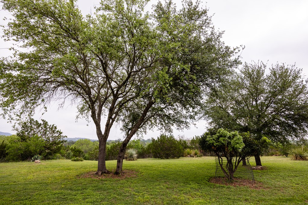 1897 Kyle Ranch Road Bandera, TX 78003 - Photo 25 of 60