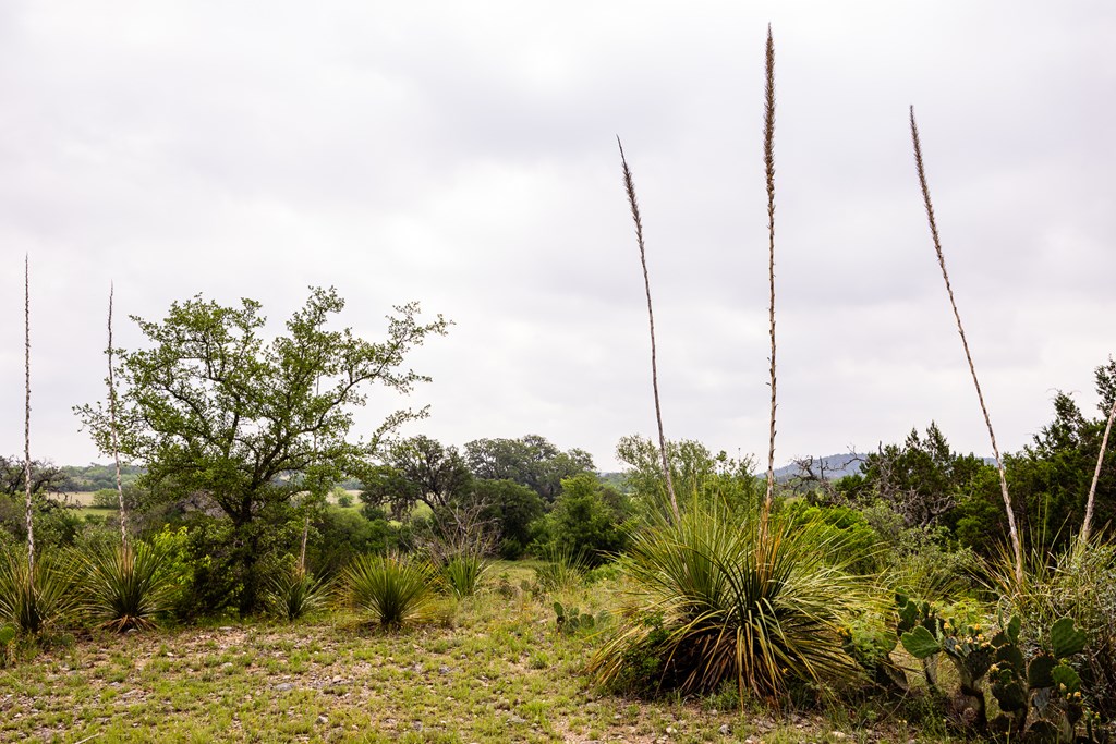 1897 Kyle Ranch Road Bandera, TX 78003 - Photo 30 of 60