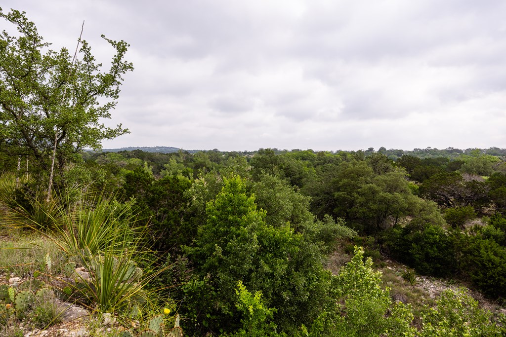 1897 Kyle Ranch Road Bandera, TX 78003 - Photo 31 of 60