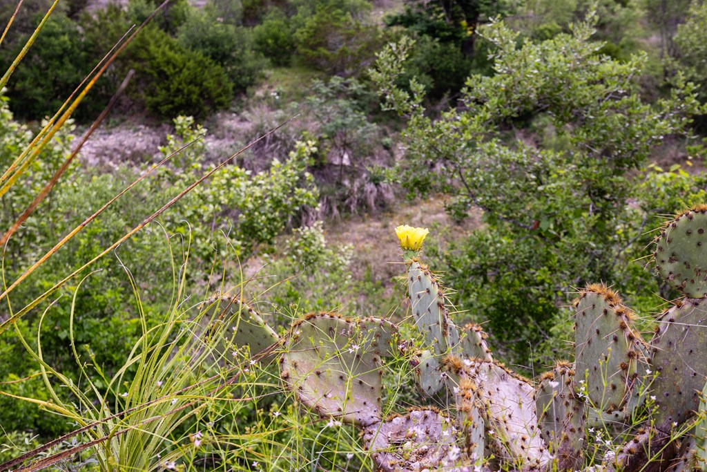1897 Kyle Ranch Road Bandera, TX 78003 - Photo 32 of 60