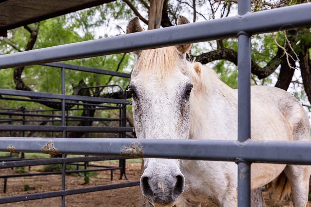 1897 Kyle Ranch Road Bandera, TX 78003 - Photo 45 of 60