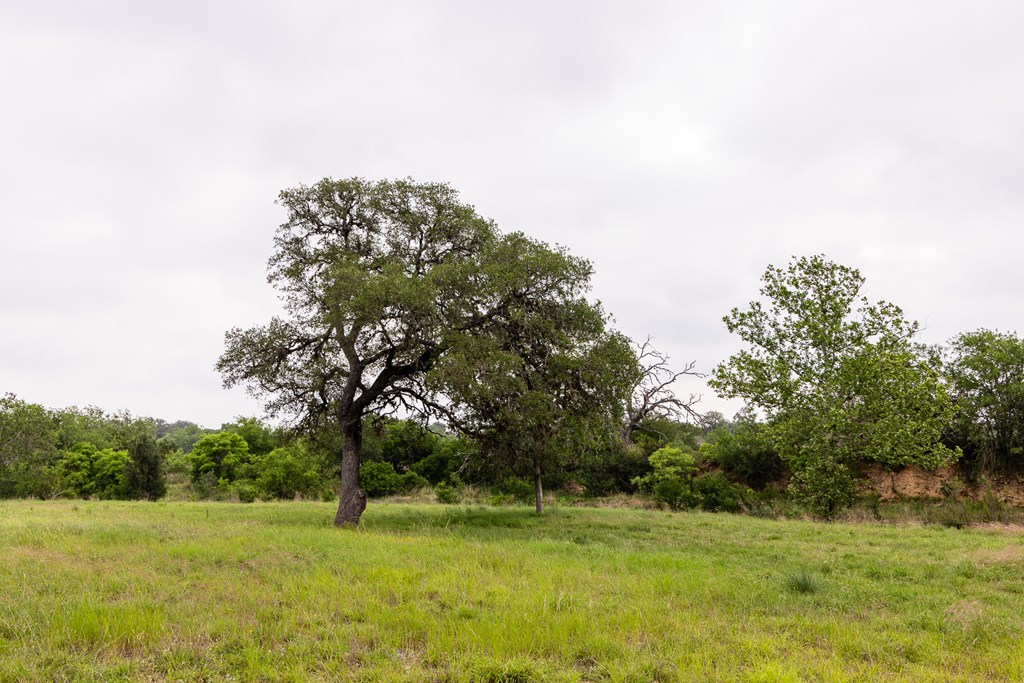 1897 Kyle Ranch Road Bandera, TX 78003 - Photo 48 of 60