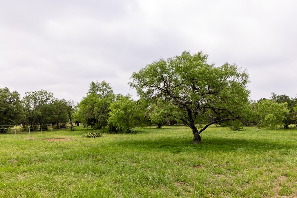 1897 Kyle Ranch Road Bandera, TX 78003 - Photo 51 of 60