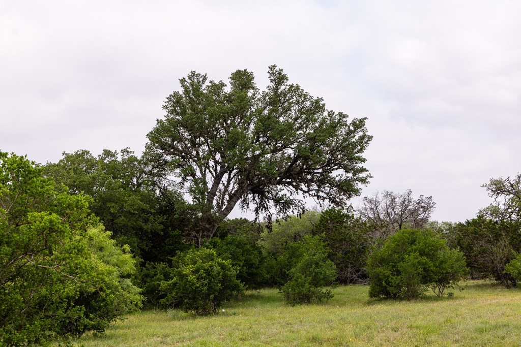 1897 Kyle Ranch Road Bandera, TX 78003 - Photo 53 of 60