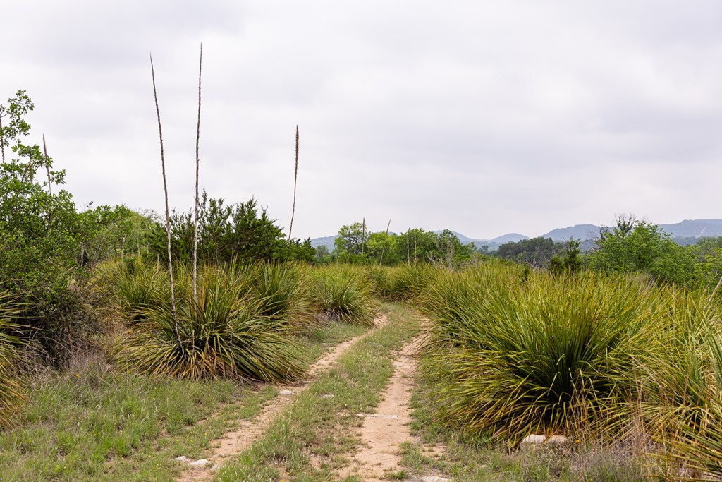 1897 Kyle Ranch Road Bandera, TX 78003 - Photo 54 of 60