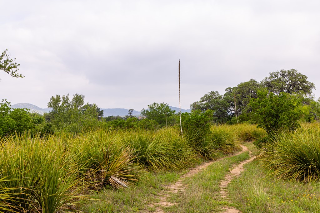 1897 Kyle Ranch Road Bandera, TX 78003 - Photo 57 of 60