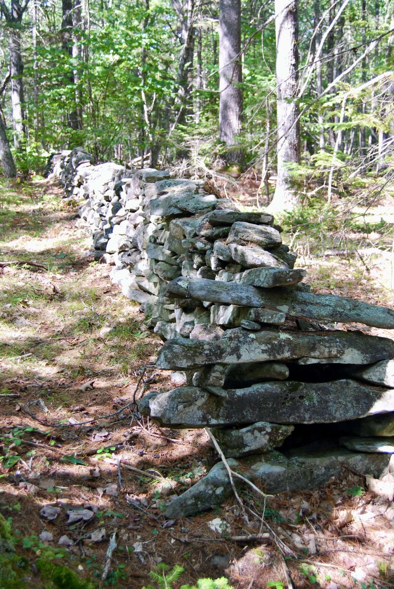 7 Whispering Pines Road Bristol, ME 04539 - Photo 9 of 12 DSC_0145
