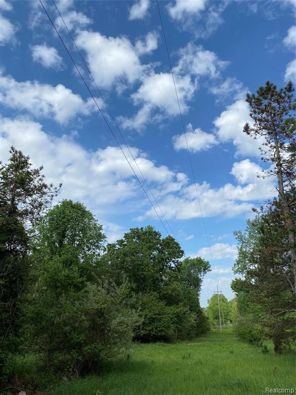 0 Kaiser Road Gregory, MI 48137 - Photo 22 of 29