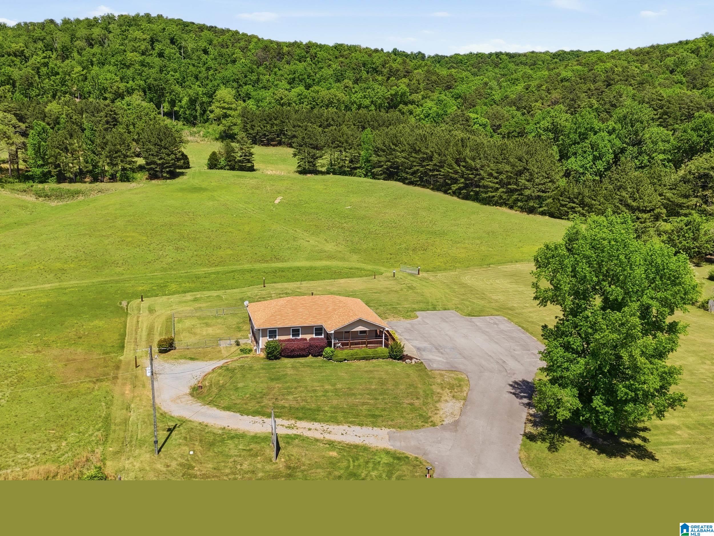 2375 Alabama Highway 174 Springville, AL 35146 - Photo 4 of 42