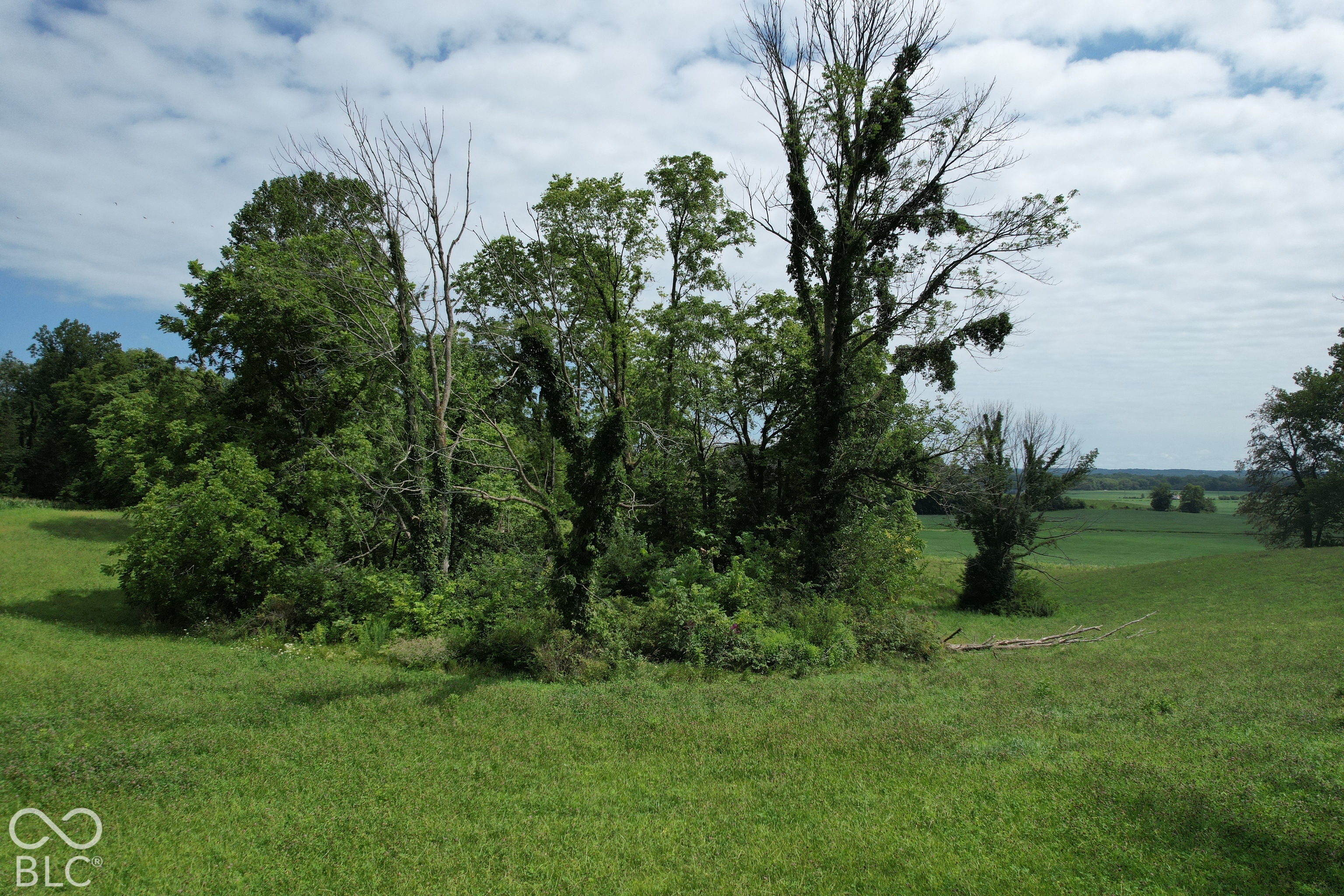 15040 Lindsey Road Milton, IN 47357 - Photo 23 of 46 Gallery Image 23