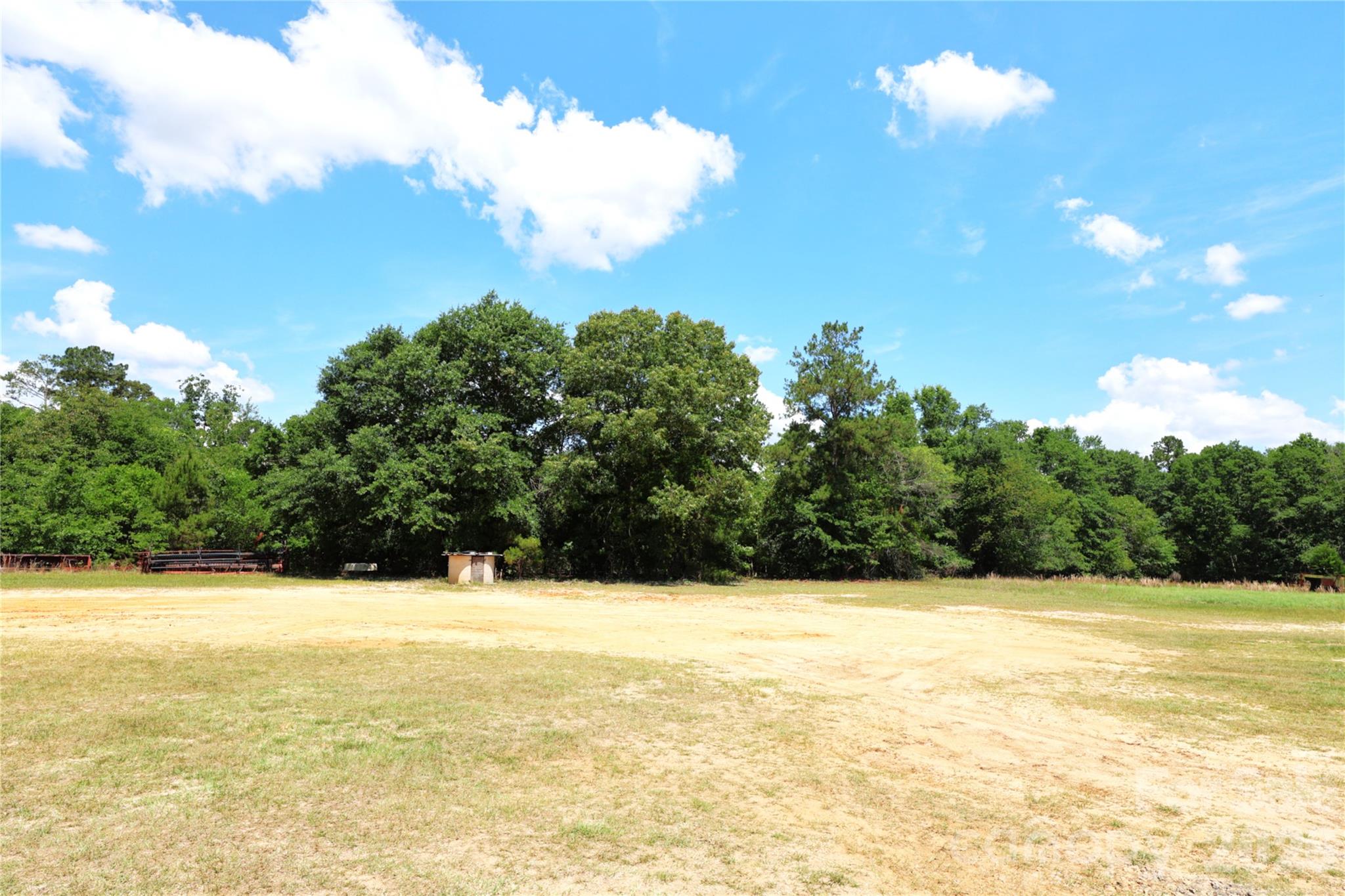 2121 Whitetail Road Blackville, SC 29817 - Photo 14 of 40
