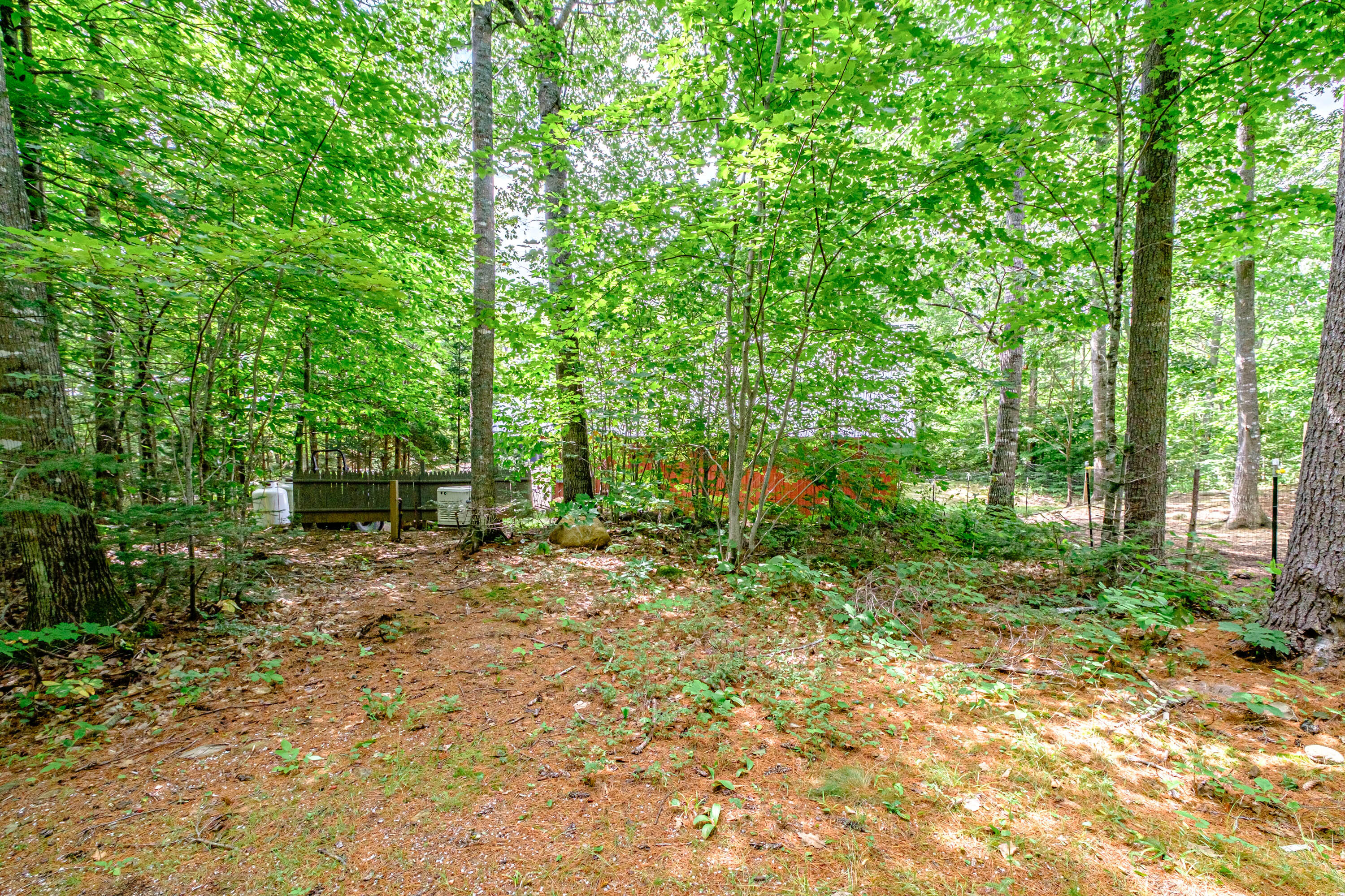 1384 Sunday River Road Newry, ME 04261 - Photo 106 of 116 20220825gp-61104