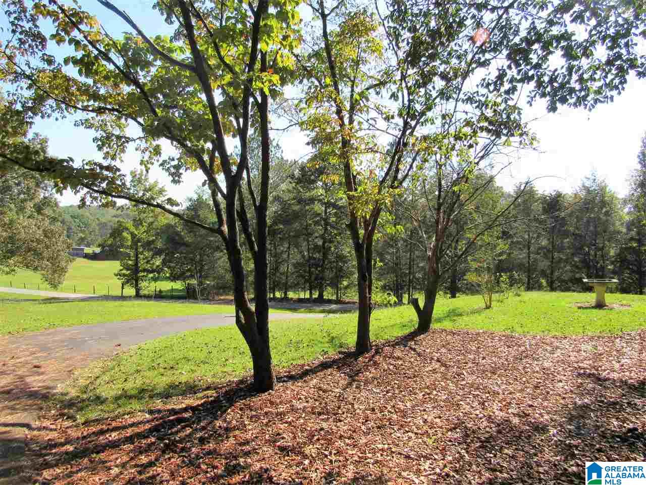 267 Bryant Street Wellington, AL 36279 - Photo 18 of 22