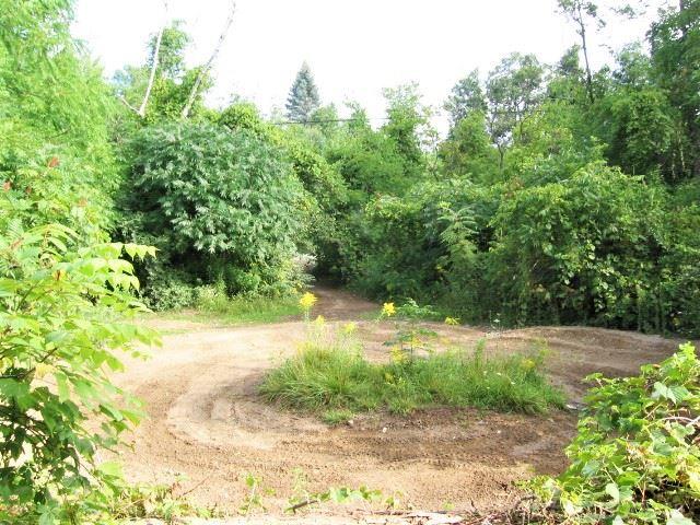 0 Birchtree Road Lexington, MI 48450 - Photo 1 of 19