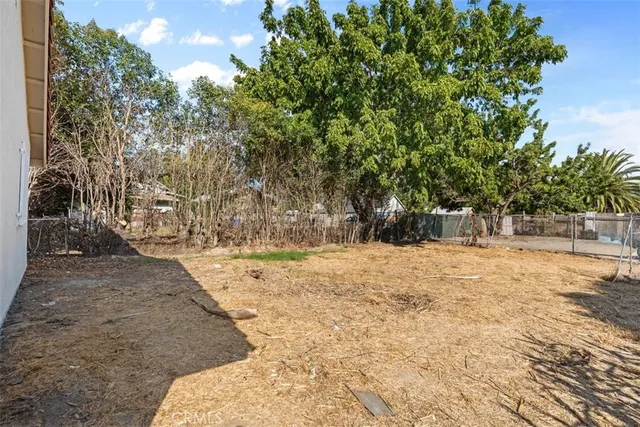 a view of a yard with plants and trees