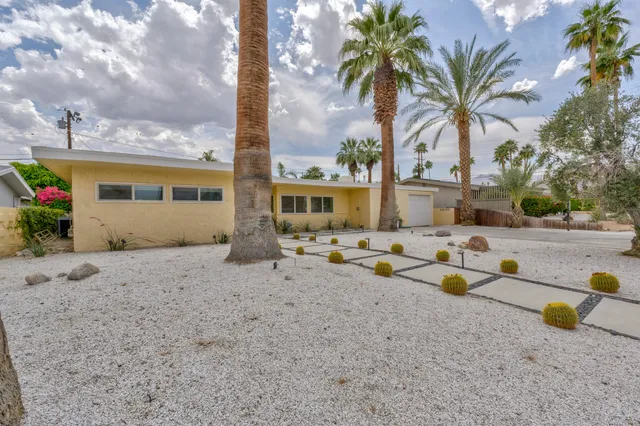a row of palm trees and swimming pool in the backyard of a house