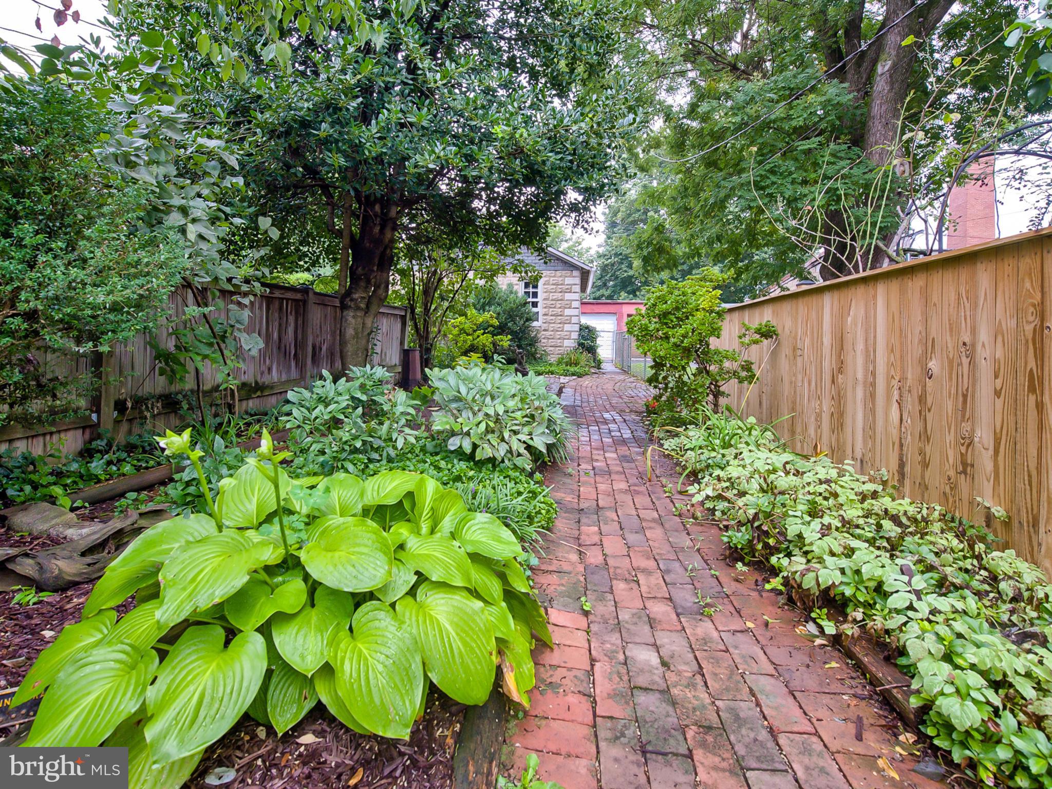 123 East 3rd Street Frederick, MD 21701 - Photo 24 of 28 a view of a garden with plants
