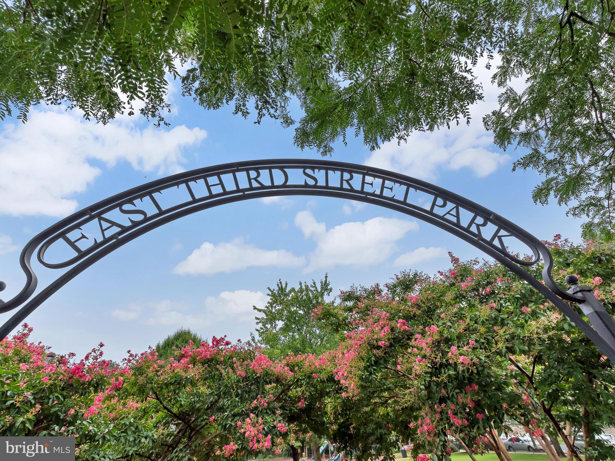 123 East 3rd Street Frederick, MD 21701 - Photo 28 of 28 a view of a water pond with potted plants