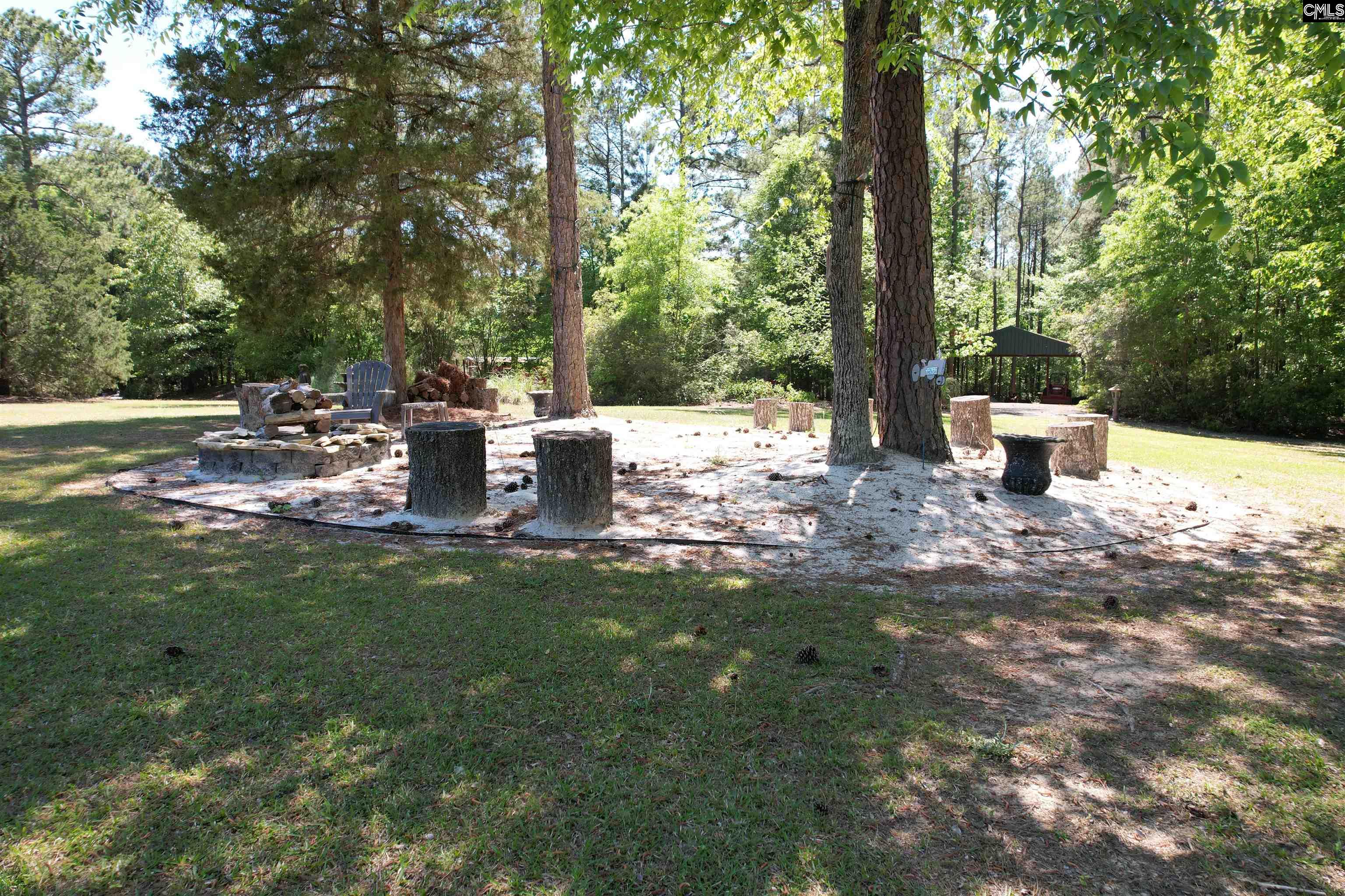 1121 Canterfield Road Chapin, SC 29036 - Photo 49 of 50