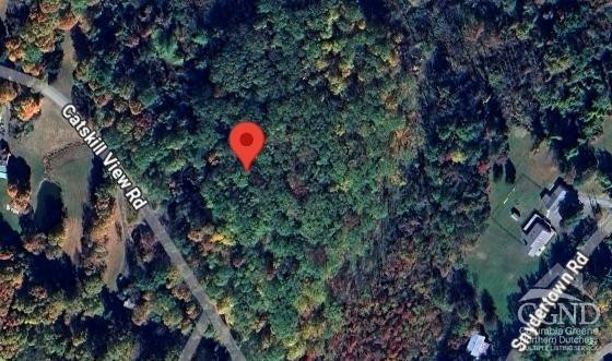 0 Catskill View Road Claverack, NY 12513 - Photo 2 of 3 Photo 2