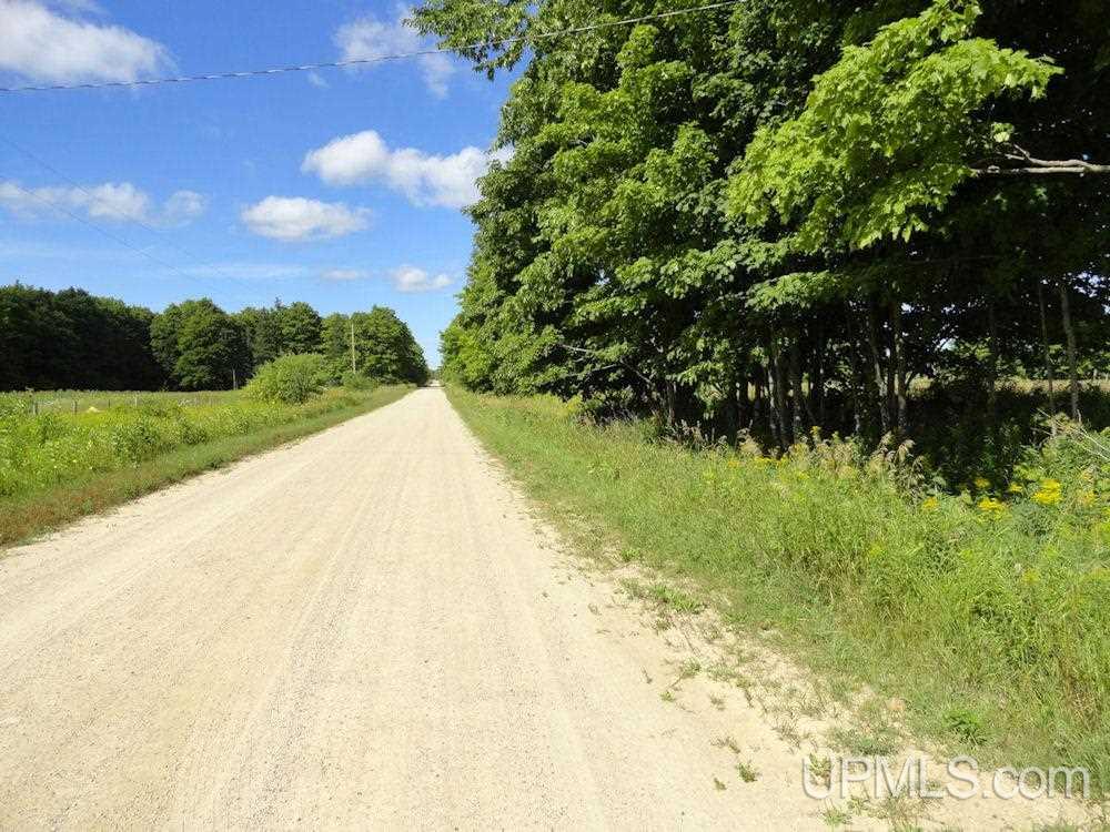 N5058 Benson Road Chatham, MI 49816 - Photo 1 of 31