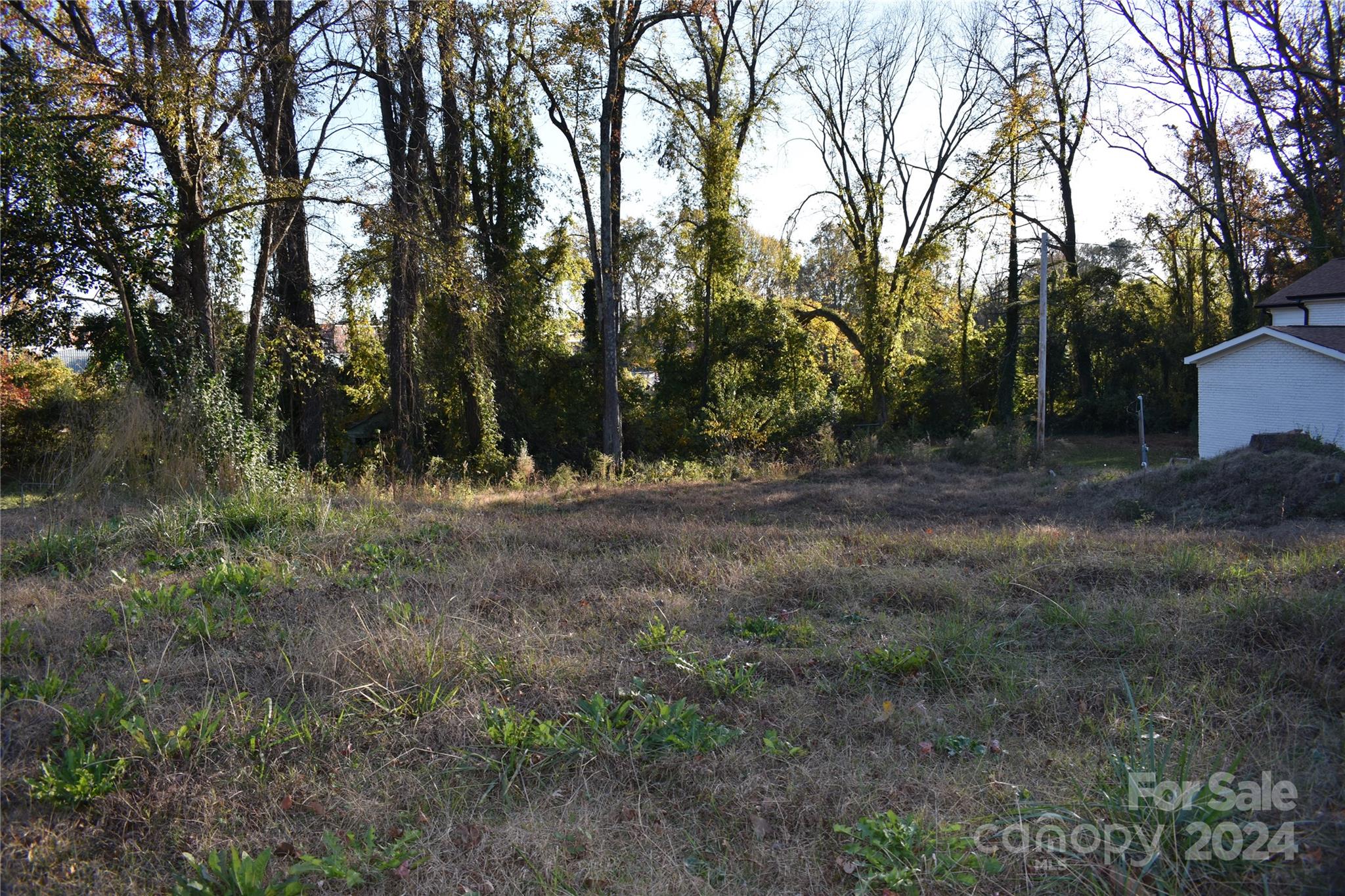 305 West Gold Street Kings Mountain, NC 28086 - Photo 3 of 5 Gallery Image 3