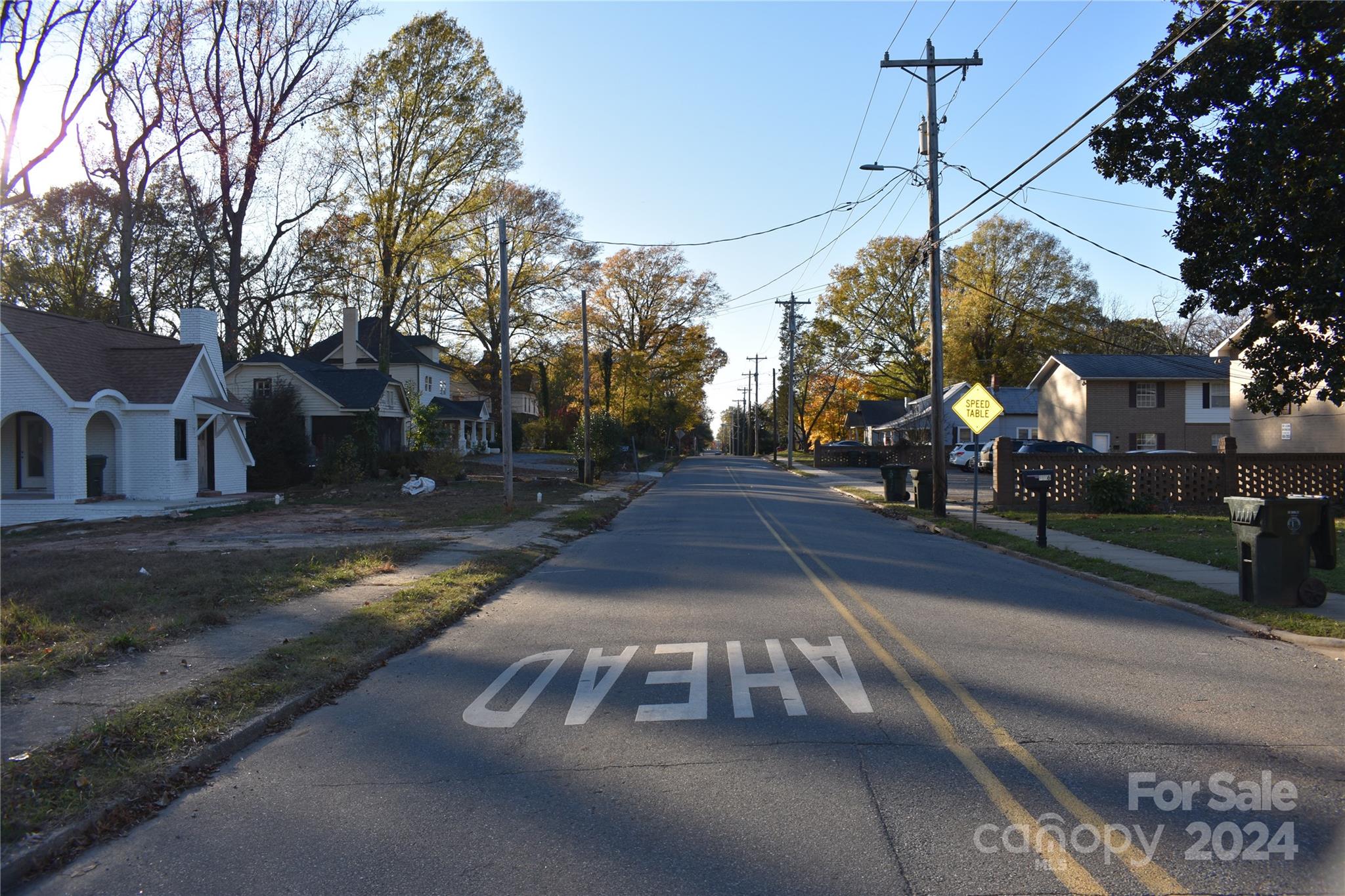 305 West Gold Street Kings Mountain, NC 28086 - Photo 4 of 5 Gallery Image 4
