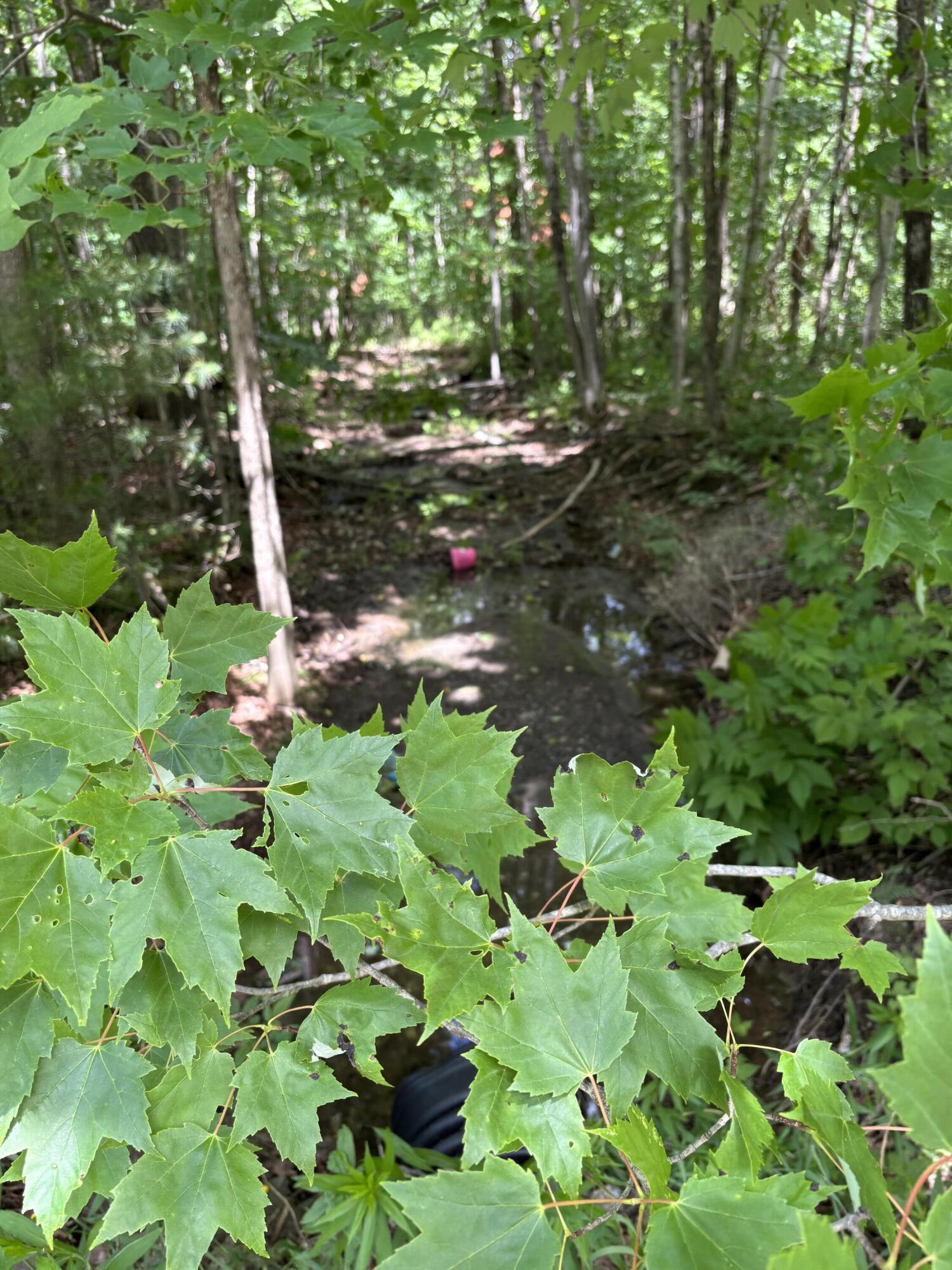 # Ledge Hill Road Corinth, ME 04427 - Photo 4 of 6 Seasonal Brook