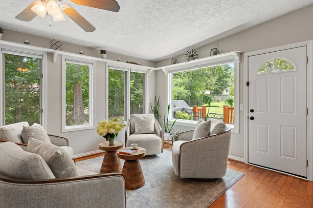 a view of a field with a trees in the background