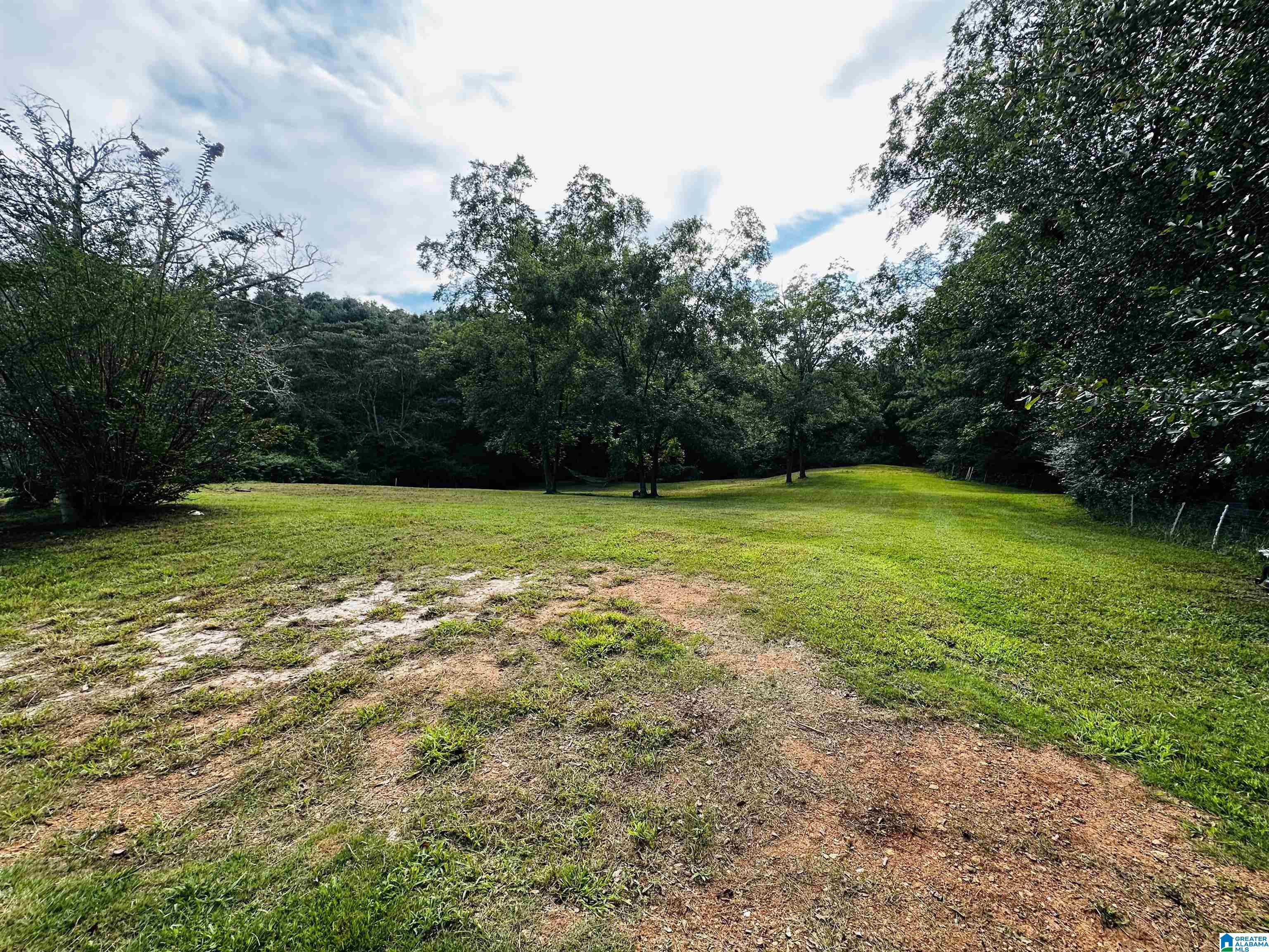 449 Knowles Avenue Lineville, AL 36266 - Photo 9 of 44