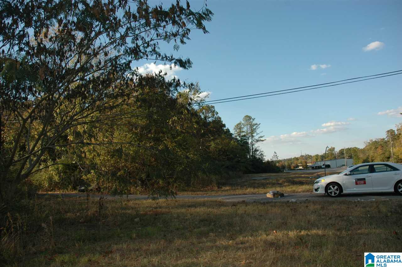 4100 Center Point Road Pinson, AL 35126 - Photo 2 of 5