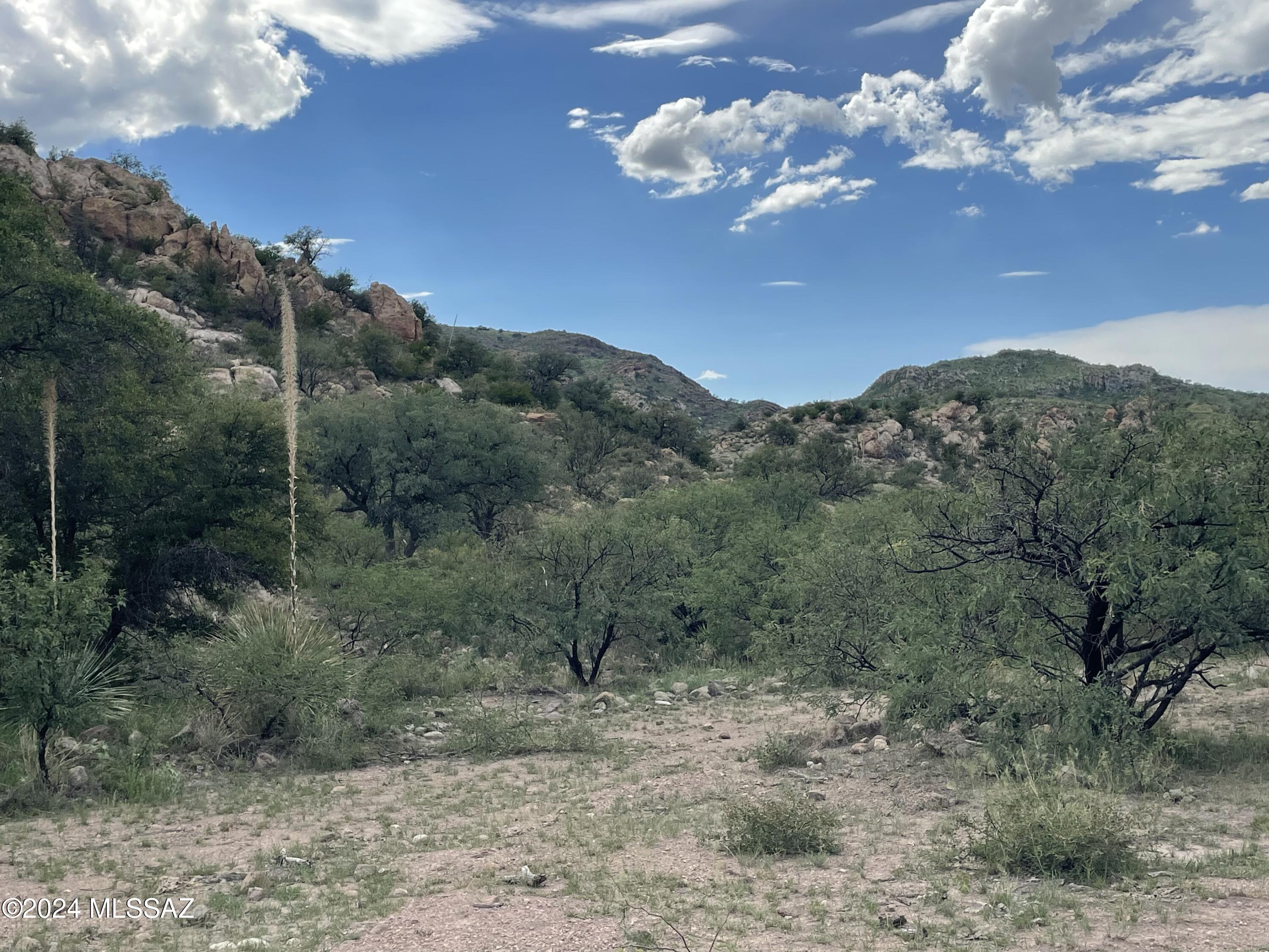 Tbd Tbd Calle De La, Unit 143 5 Rio Rico, AZ 85648 - Photo 5 of 20