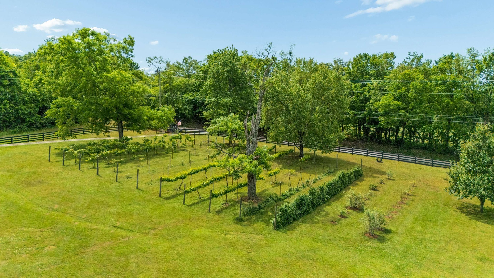 4570 Peytonsville Road Franklin, TN 37064 - Photo 4 of 52 Gallery Image 4