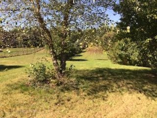 53466 Ridgeview Circle Paw Paw, MI 49079 - Photo 35 of 41 IMG_3120